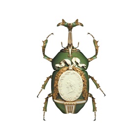 Sevres Eudicella Gralli by Magnus Gjoen