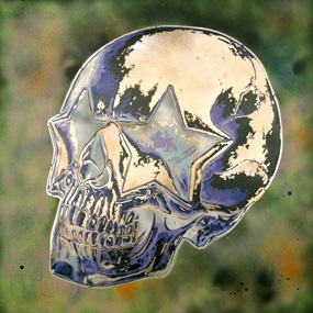 Skull Star (Skull Star 11) by Ron English
