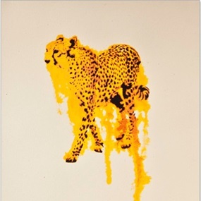 Cheetah Flow by Nicole Tattersall