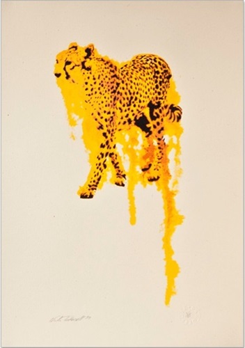 Cheetah Flow  by Nicole Tattersall