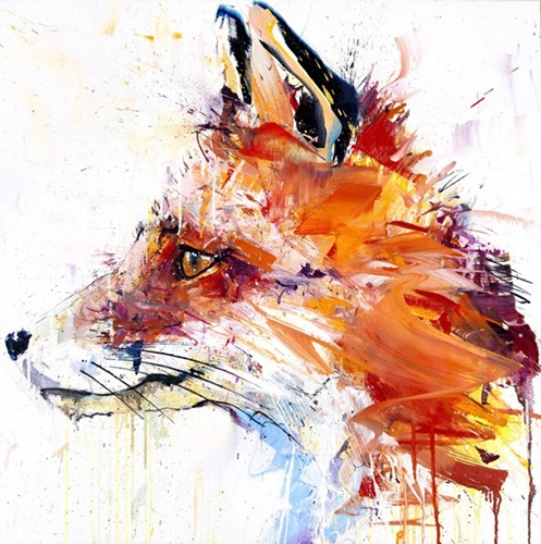 Fox  by Dave White