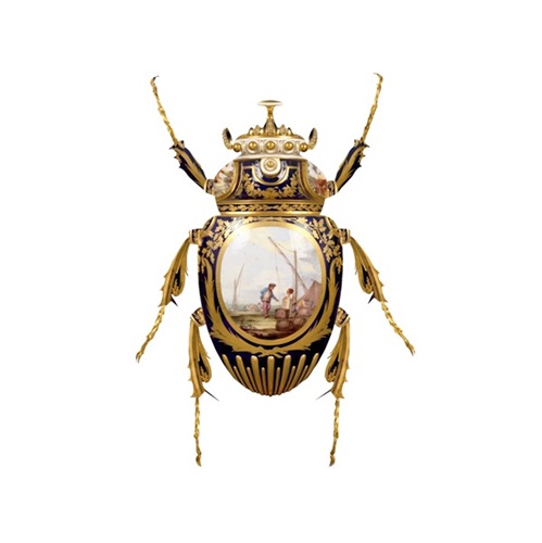 Sevres Goliathus Scarabaeidae  by Magnus Gjoen