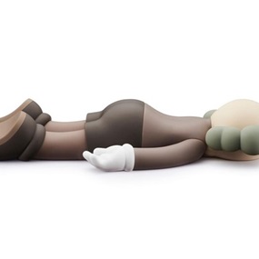 Companion 2020 (Brown) by Kaws