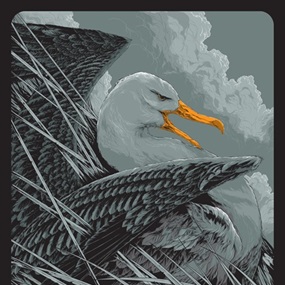 Albatross by Ken Taylor