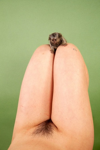 Marmoset (LSD)  by Ryan McGinley