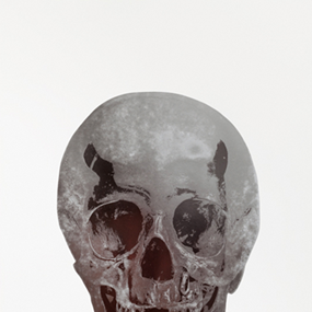 The Dead (Silver Gloss Chocolate Skull) by Damien Hirst
