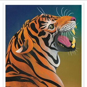 Tiger by Casey Gray
