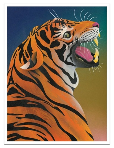 Tiger  by Casey Gray