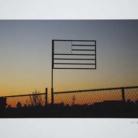 The New American Flag by Icy And Sot