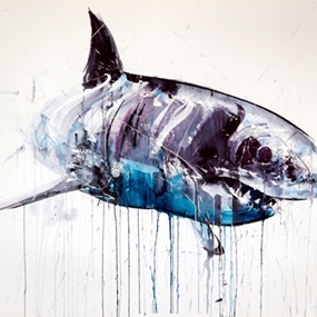 Great White II (XL) by Dave White