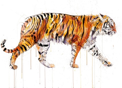 Sumatran Tiger  by Dave White