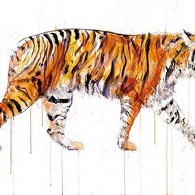 Sumatran Tiger by Dave White