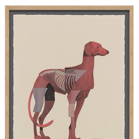 Greyhound II by Aryz