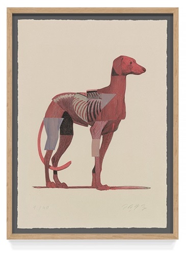 Greyhound II  by Aryz
