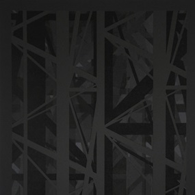 Mono Increment by Graphic Surgery
