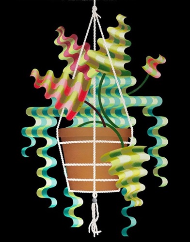 Hanging Plant Study  by Casey Gray