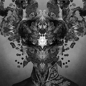 The Unwavering (Timed Edition) by Dan Hillier