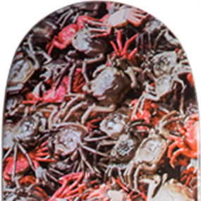Crabs (Signed) by Ai Weiwei