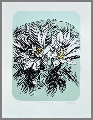 Peyote Blossoms (I (Colour)) by El Mac