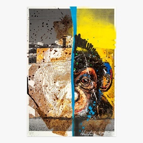 Evolution by Vhils | Bordalo II