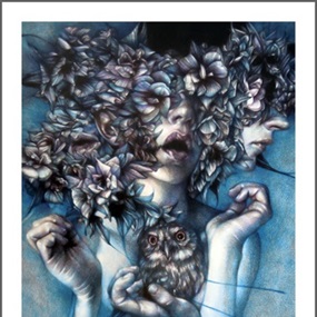 Malalingua by Marco Mazzoni