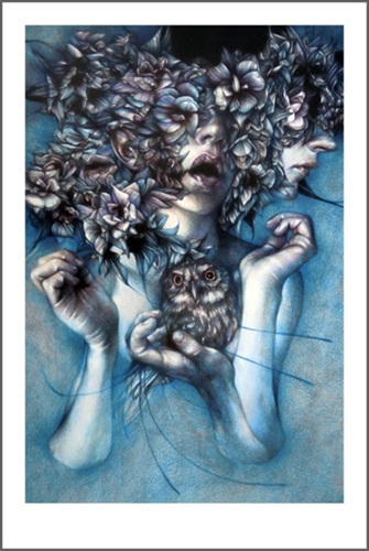 Malalingua  by Marco Mazzoni