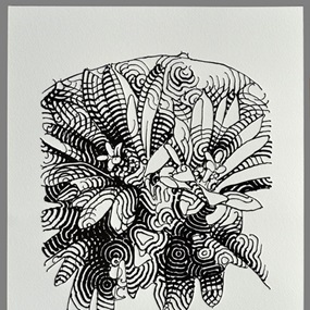Peyote Blossoms (II (Black & White)) by El Mac