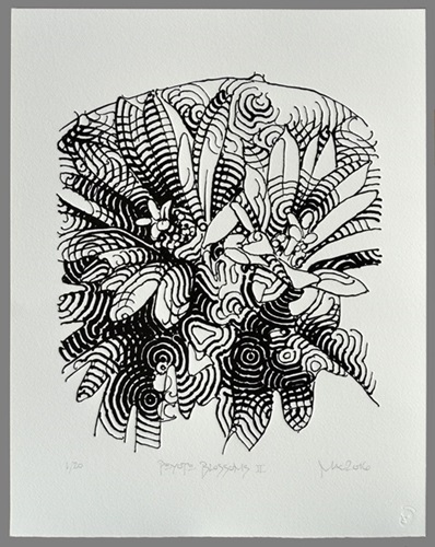 Peyote Blossoms (II (Black & White)) by El Mac