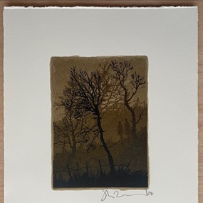 Low Winter Sun by Stanley Donwood