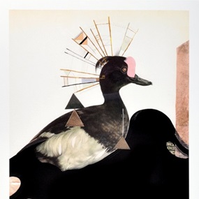The Tufted Duck by Monica Canilao