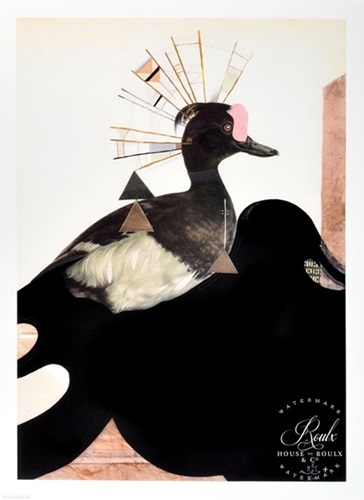 The Tufted Duck  by Monica Canilao
