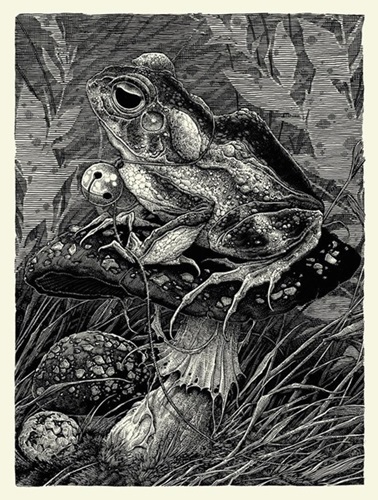 Gypsy Toad (First Edition) by Brandon Holt