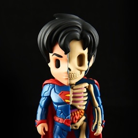 XXRAY Superman (First Edition) by Jason Freeny