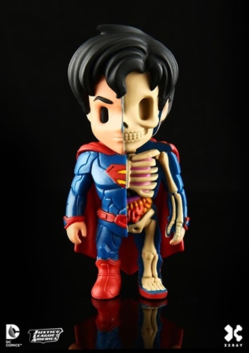 XXRAY Superman (First Edition) by Jason Freeny