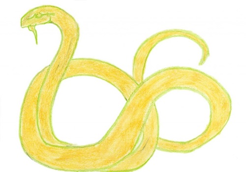 Coil Snake  by Joan Jonas