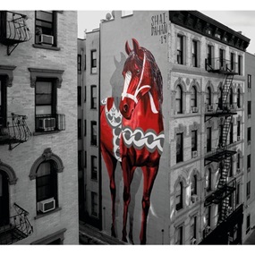 The New York Giant (White) by Shai Dahan