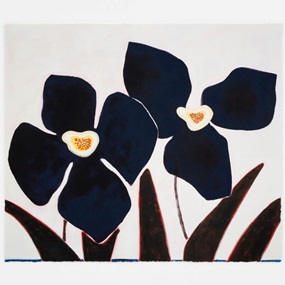 Two Blossoms In A Dream by Susumu Kamijo