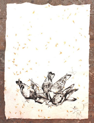 Feral (Japanese Paper Edition) by Xenz