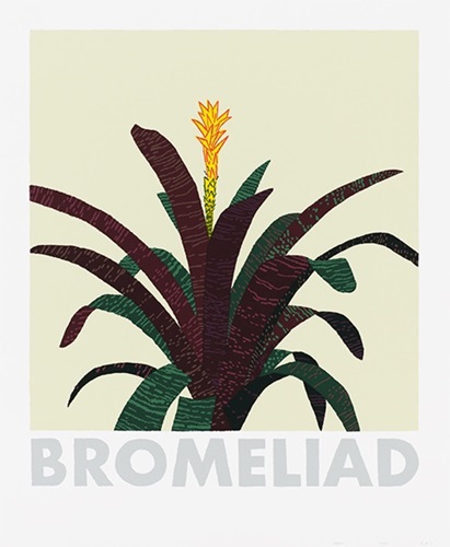 Bromeliad  by Jonas Wood