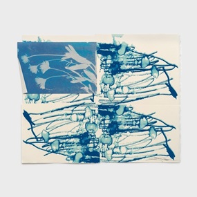 DRFTRS (Daisy Ghost) by Sterling Ruby