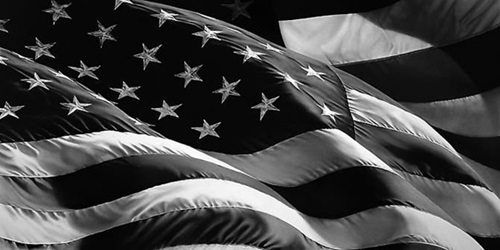 Untitled (Flag)  by Robert Longo