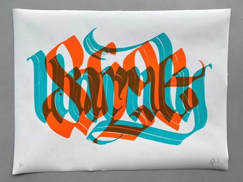 Unruly Shoe (Turquoise / Orange) by Niels Meulman