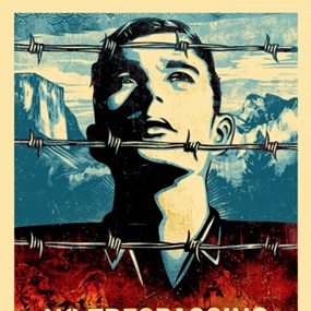 This Land Is Your Land by Shepard Fairey
