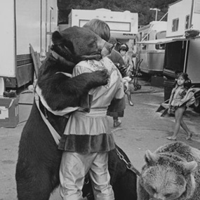 Huggy Bear by Jill Freedman