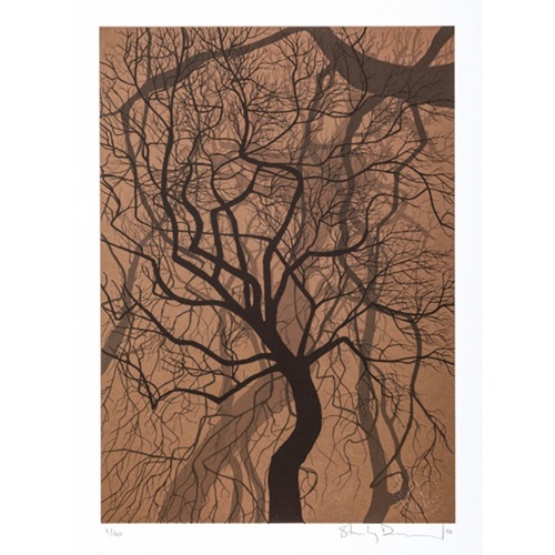 Twisted Woods Bronze - Series 2  by Stanley Donwood