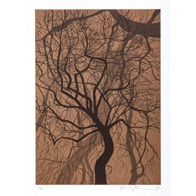 Twisted Woods Bronze - Series 2 by Stanley Donwood