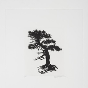 Black Pine Specimen Bonsai At The Sausage Factory, Spring by Raqib Shaw