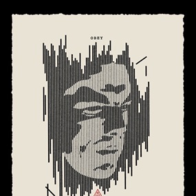 Decoding Disinformation (Letterpress) by Shepard Fairey