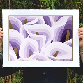 Calla (Venus) by Jet Martinez