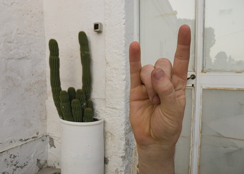 Hand Cactus  by Brad Downey | Akay